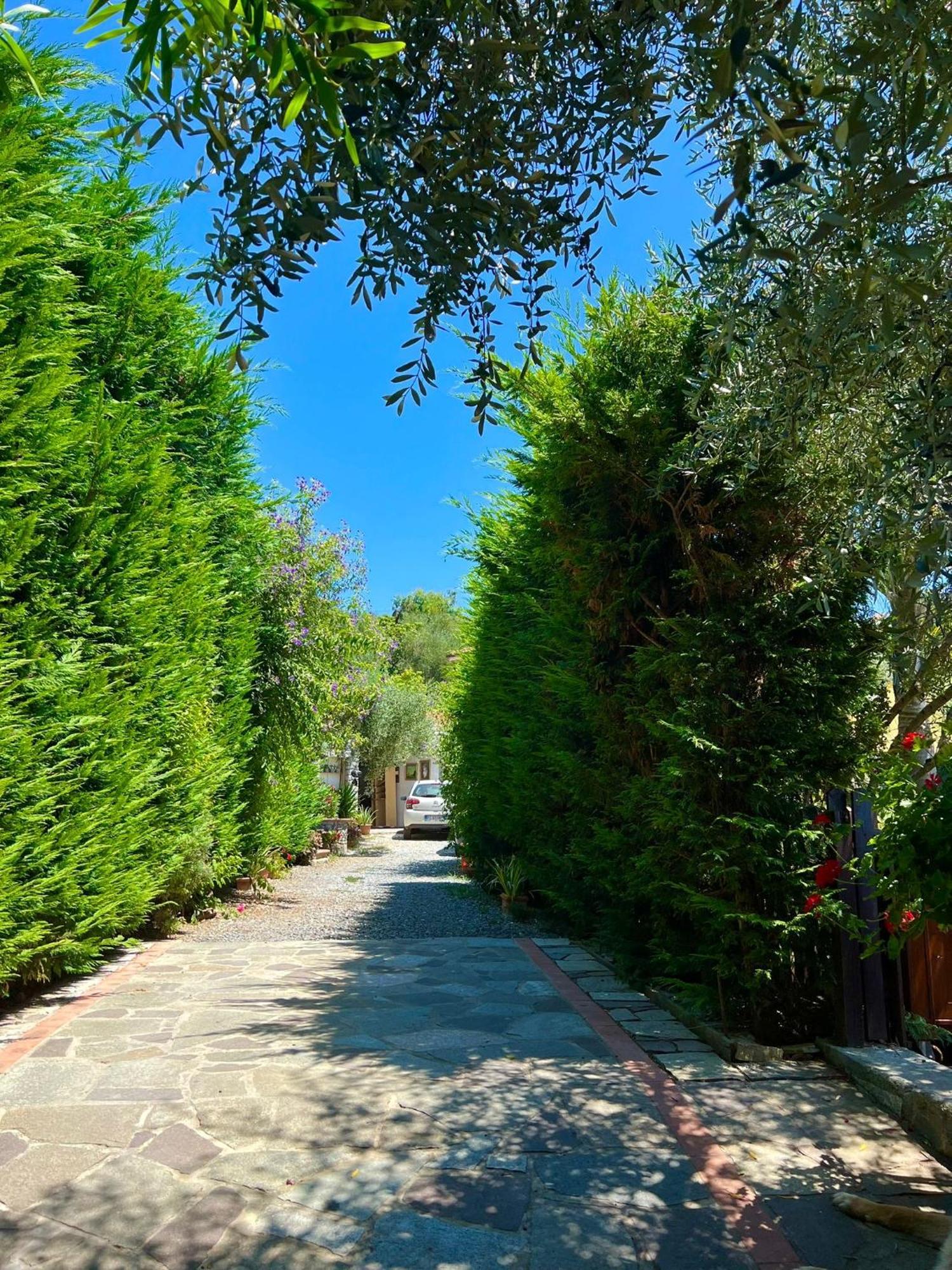 Отель Le Jardin Sur Mer Avec Bike Et Mtb Tour Империя Экстерьер фото
